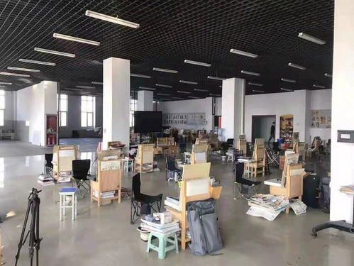 宁夏银川依法查处两家疫情期间违规开展集中培训的无证机构